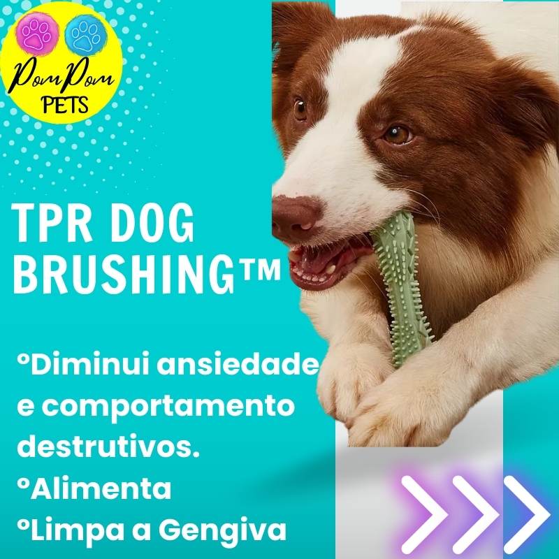 Mordedor - Dog Brushing™ - Kit com 3 UNIDADES