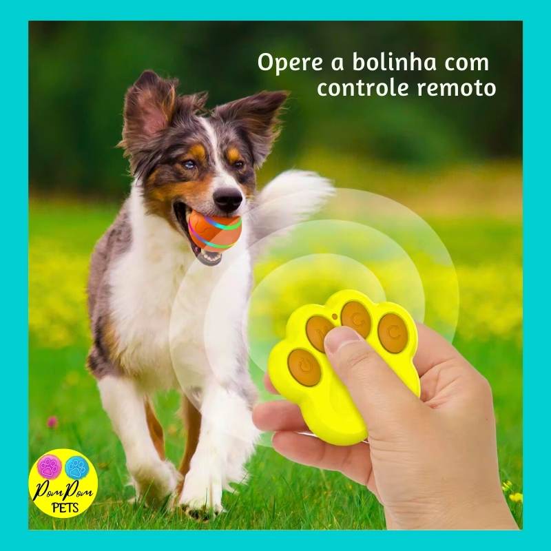 Bola Mágica PawPall™ - Últimas unidades