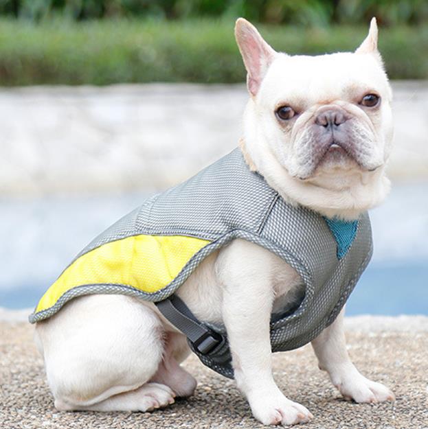 Colete frio para cachorro