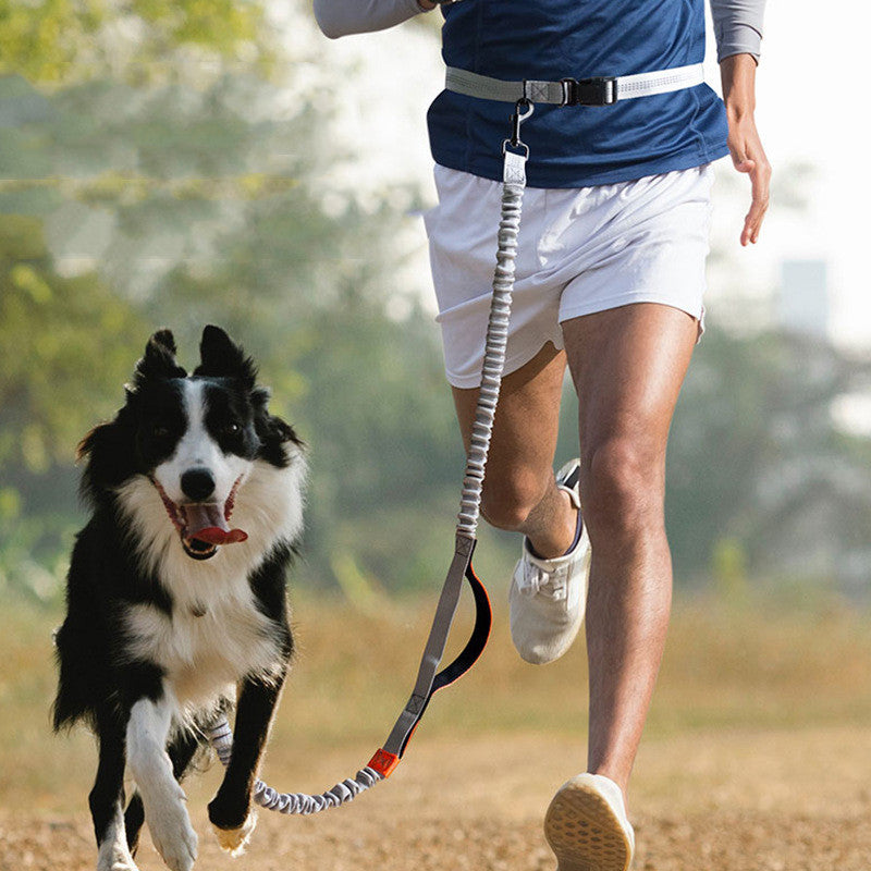 Coleira para cães de corrida